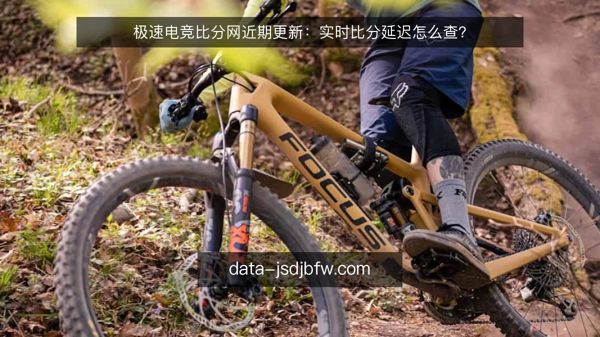 极速电竞比分网近期更新:实时比分延迟怎么查?