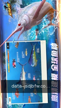 赛程服务看板